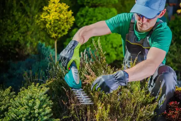 landscaping services Shirley
